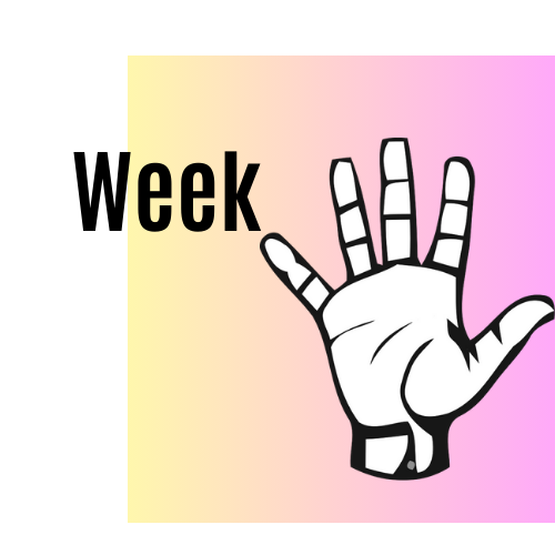 Week 5 Update