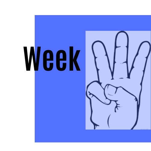 Week Six Update