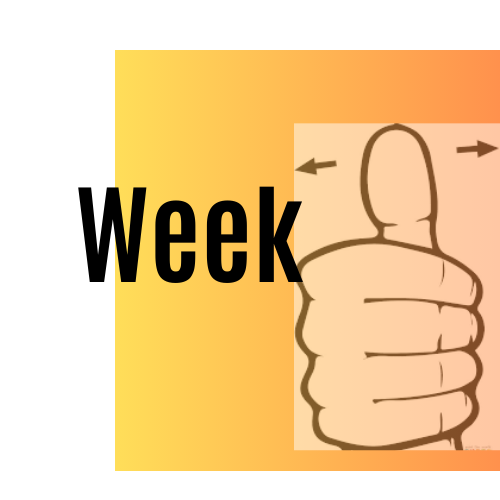 Week 10 Update