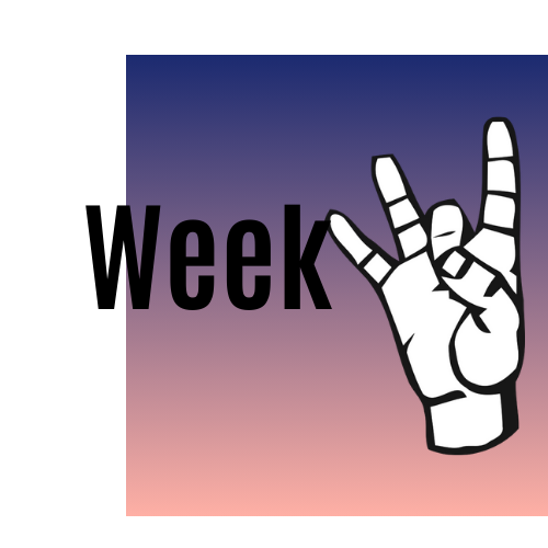 Week 8 Update