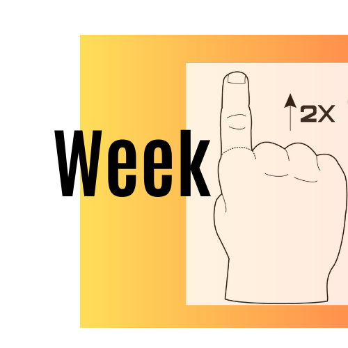 Week 11 Update