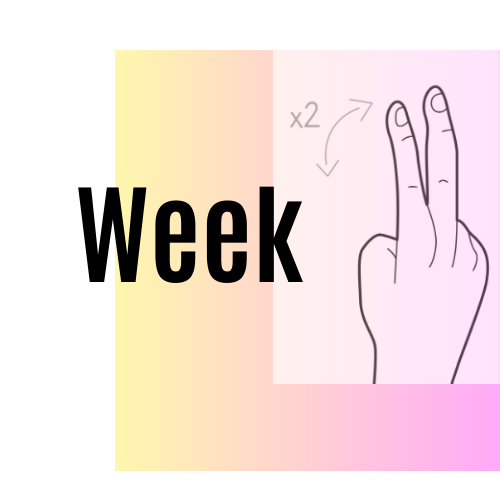 Week 12 Update