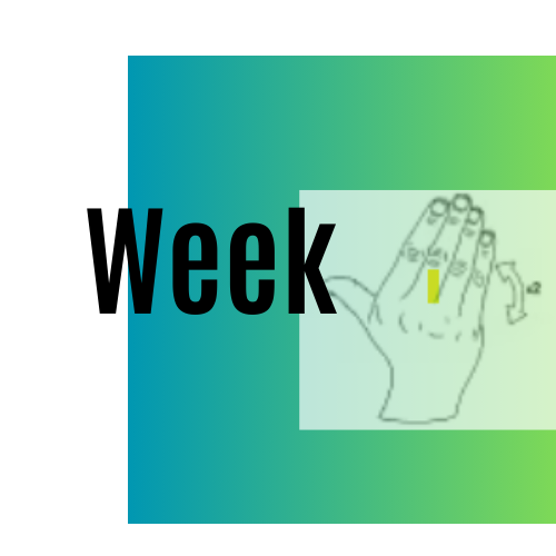 Week 15 Update